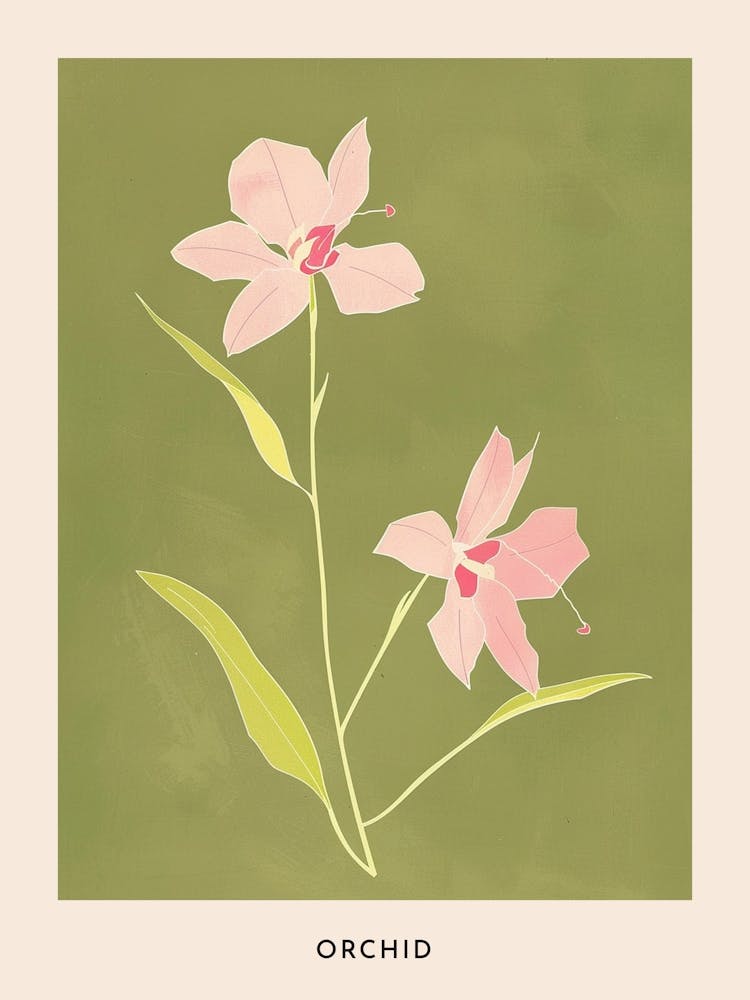 Pink & Green Orchid 4 Flower Poster