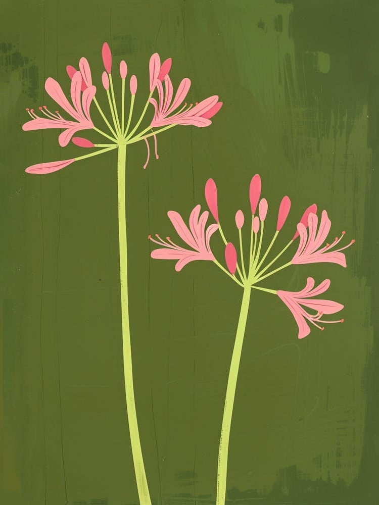 Pink & Green Agapanthus 2