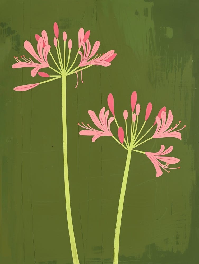 Pink & Green Agapanthus 2
