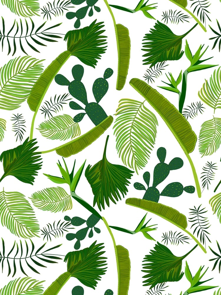 Tropical Leaves Cacti