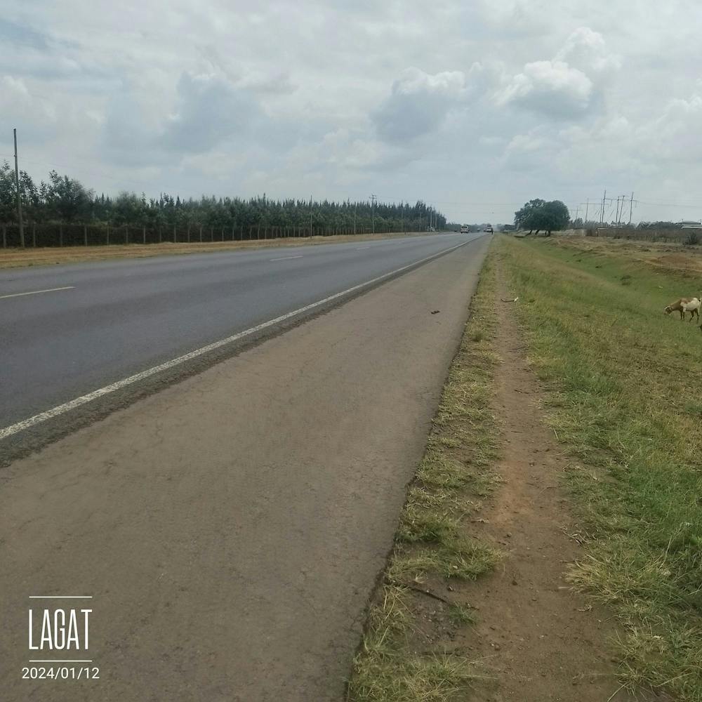 Roadside