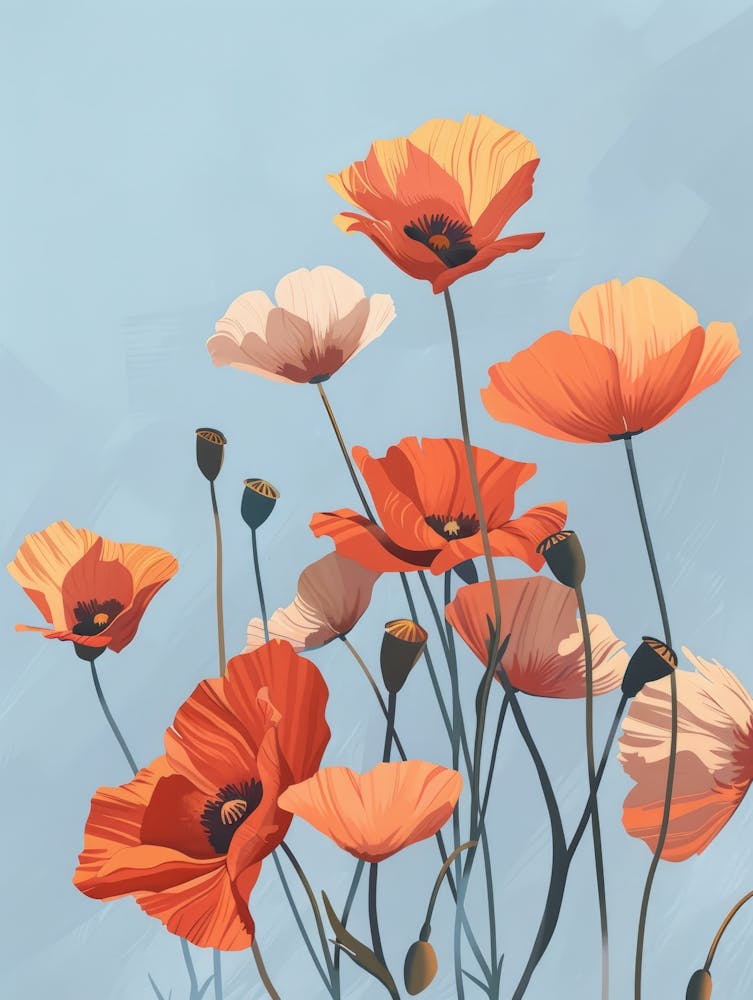 Poppies 30