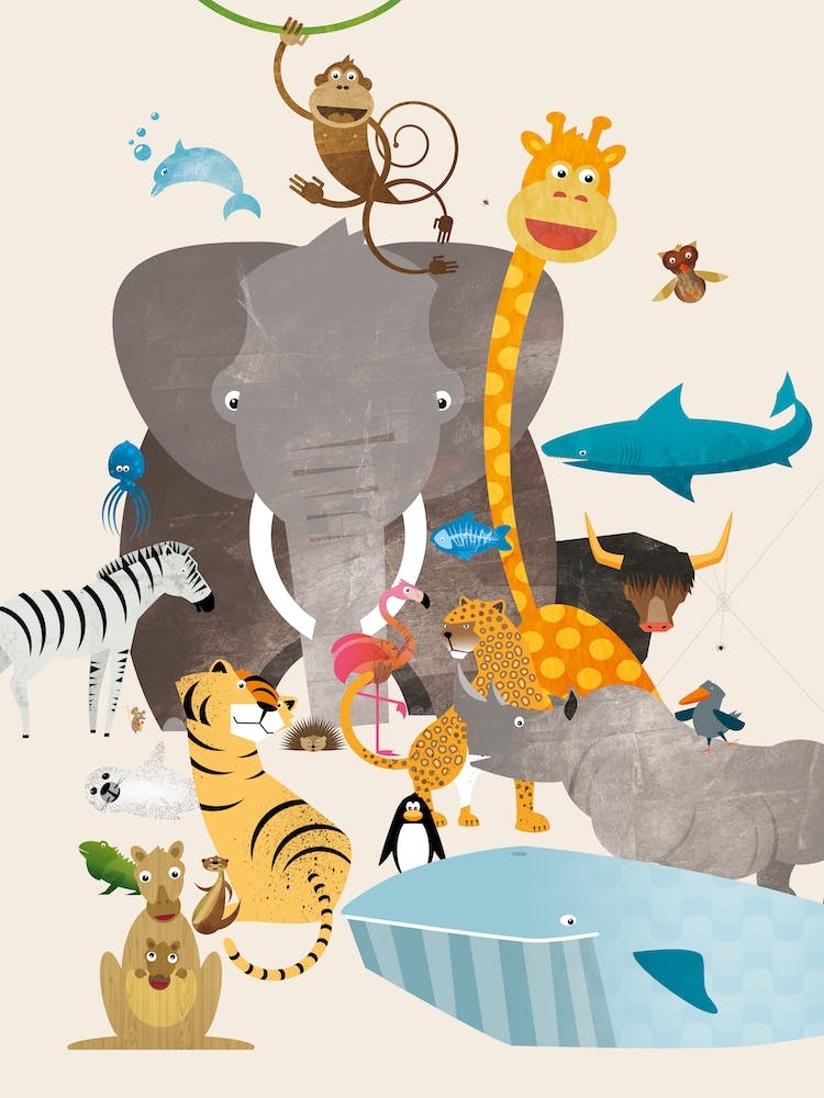 Animals