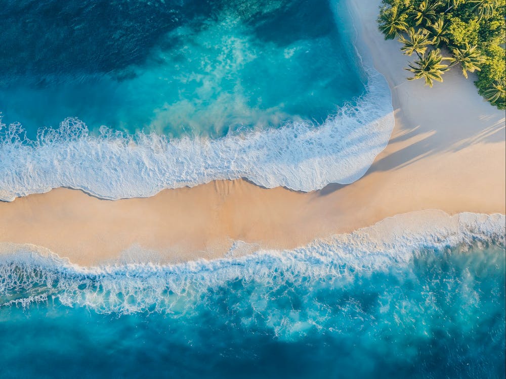 Aerial View Of A Tropical Beach 9