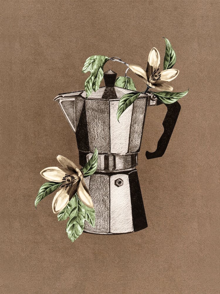 Botanical Mokapot