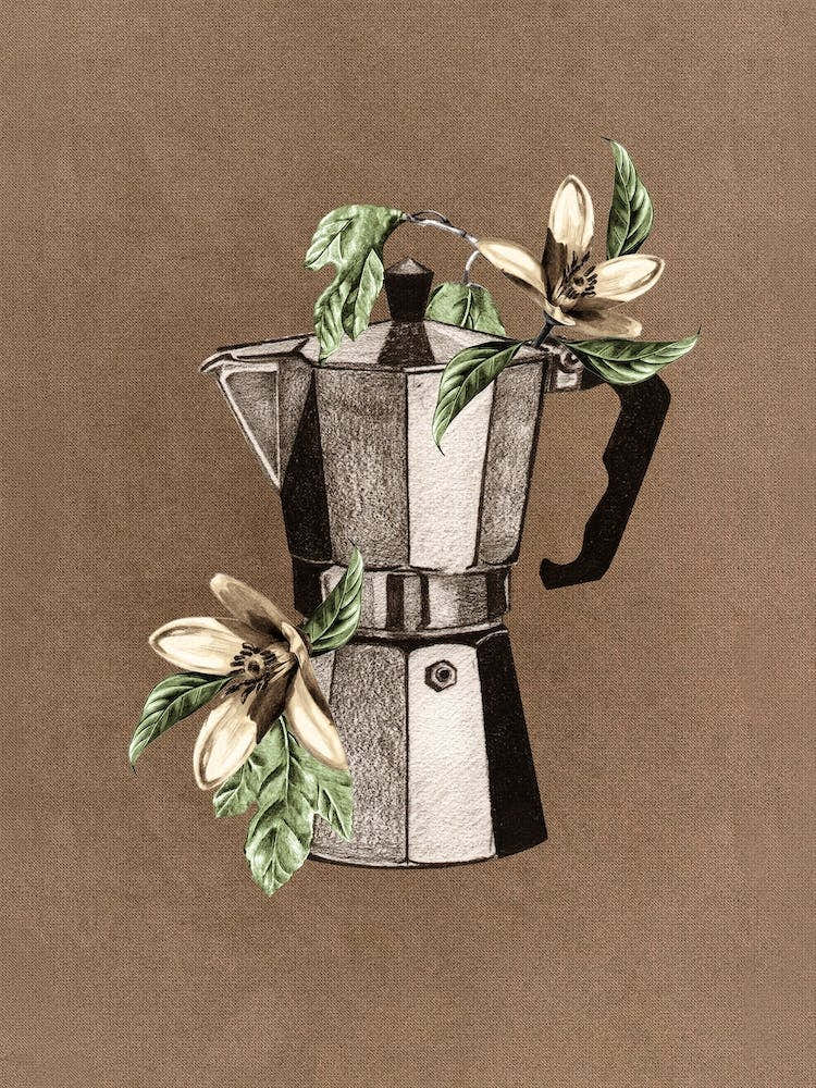 Botanical Mokapot
