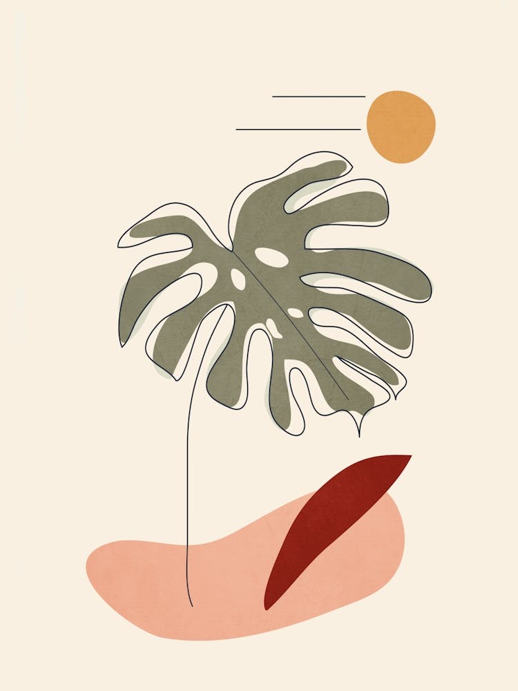 Minimal Line Monstera