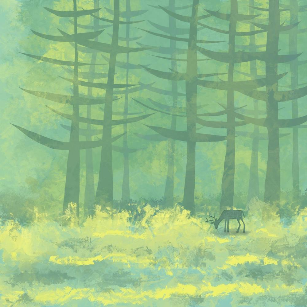Deer In The Forest Clearing