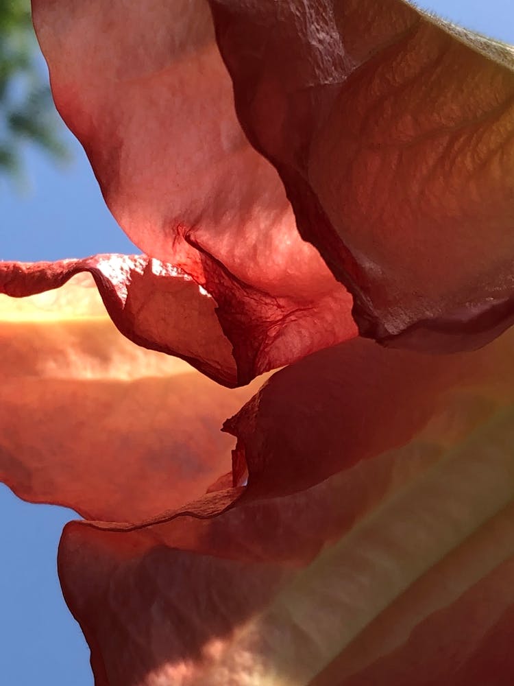 82082c21 F11b 4f53 969c 61af06dbf454