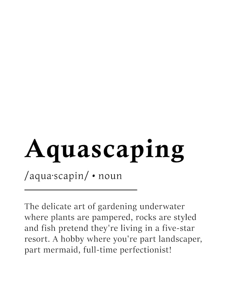 Aquascaping Definition Poster - Dictionary