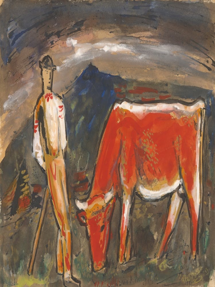 Cow And Man
