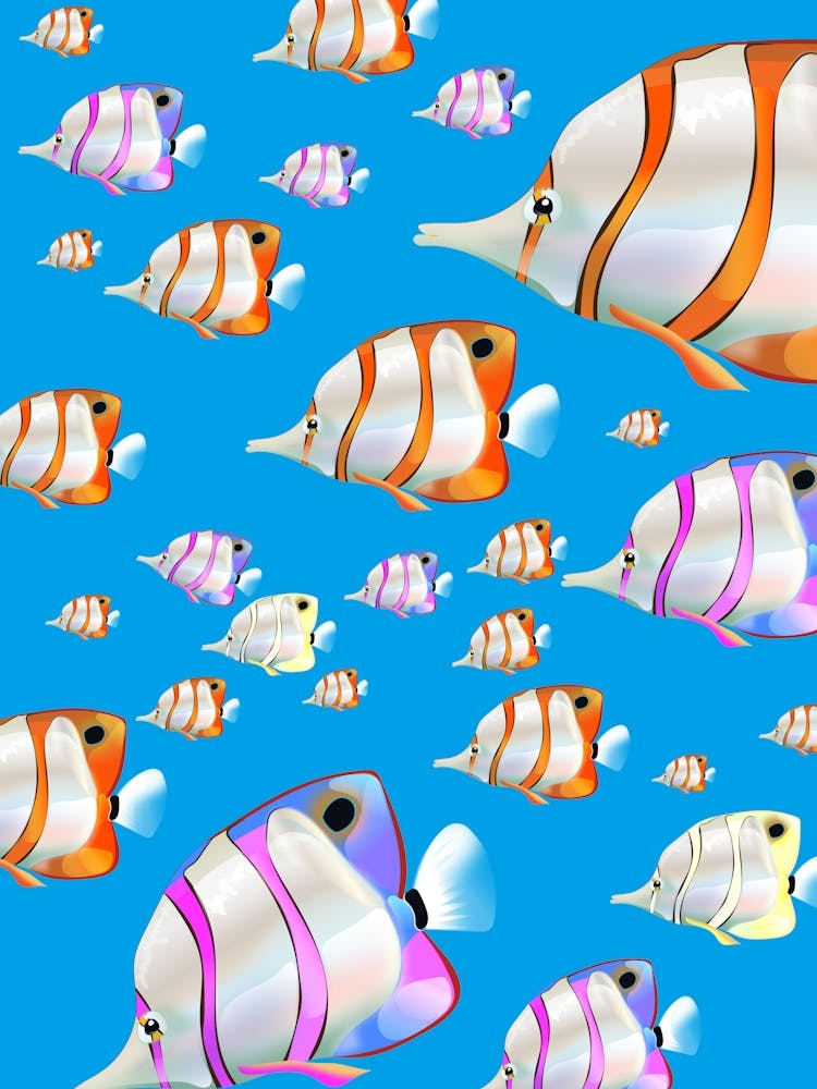 Beautiful Tropical Fish