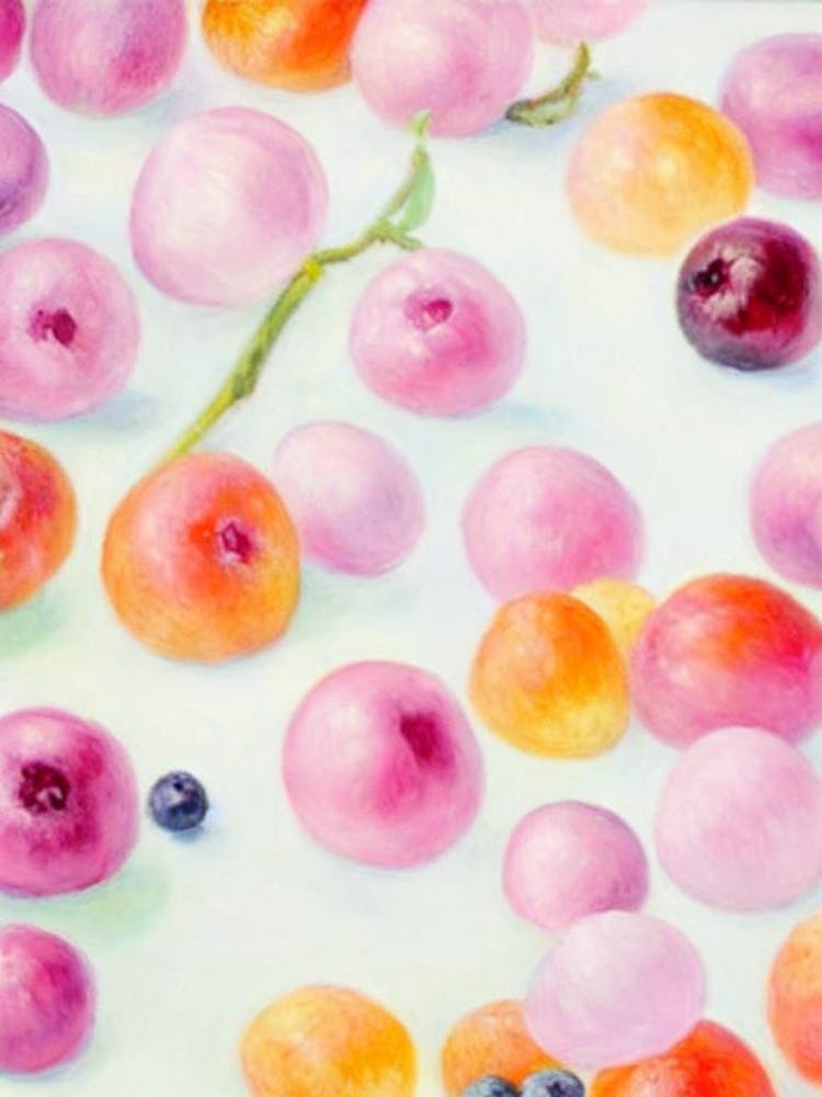 Huckleberry Painting Fruit