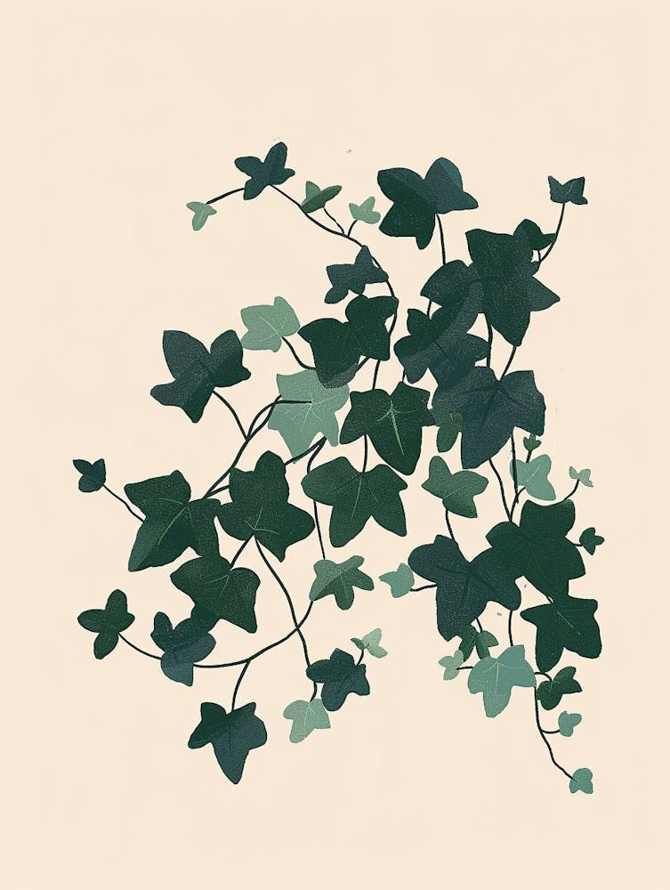 Ivy Plant Minimalist Illustration 1