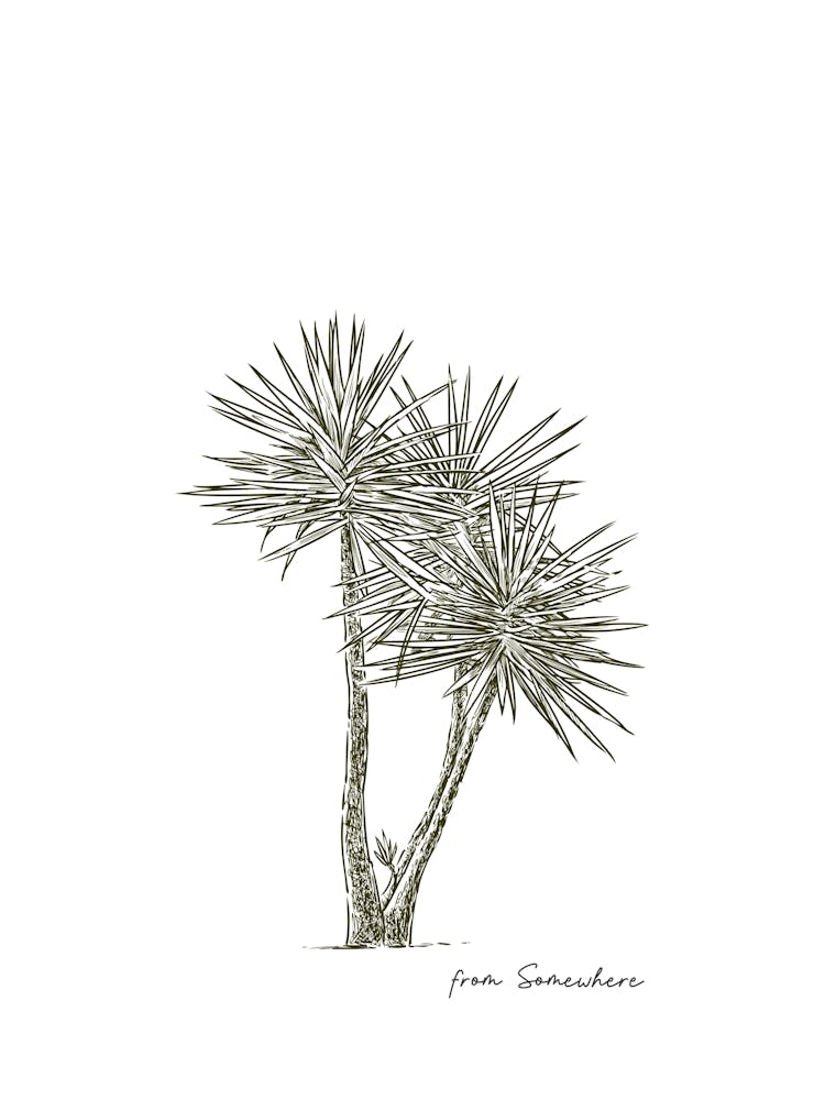 De Quelque Part, Affiche d'Été Française, Art Mural Polynésie, Décoration Chic Frenchie, Impression de Voyage Tahiti, Décoration Intérieure