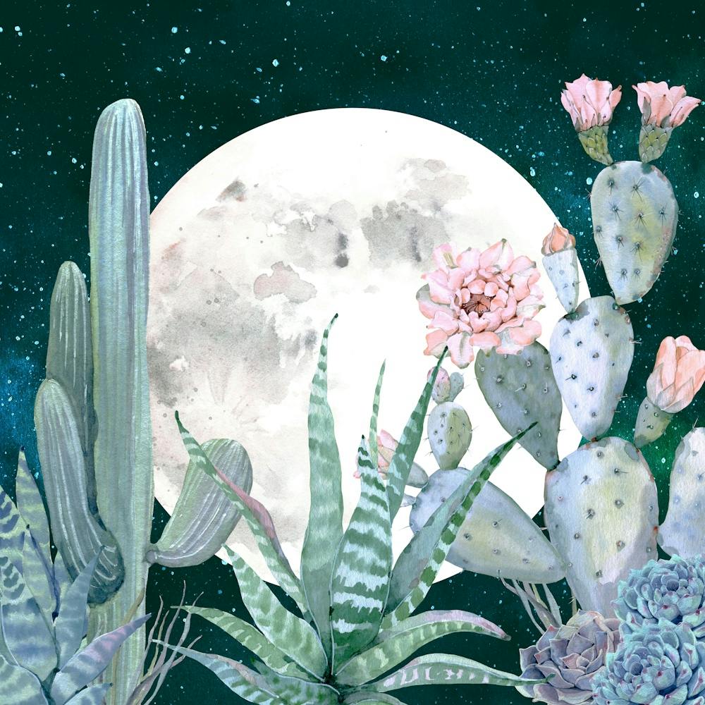 Desert Nights - Succulent Cactus Watercolor Collage