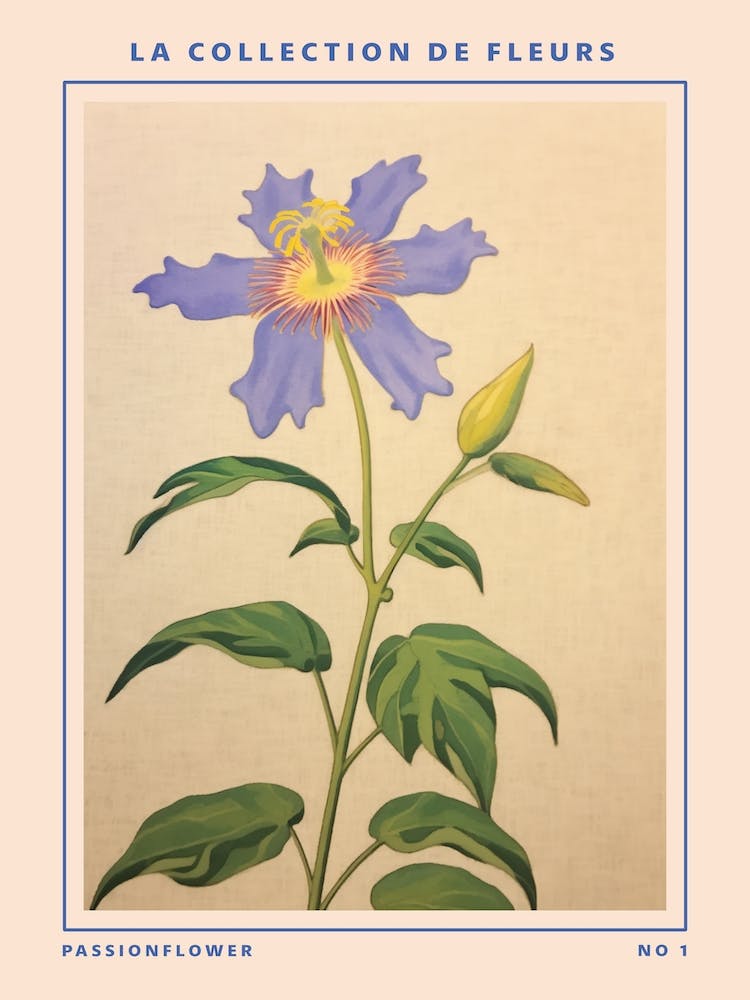 Passionflower French Flower Botanical Poster