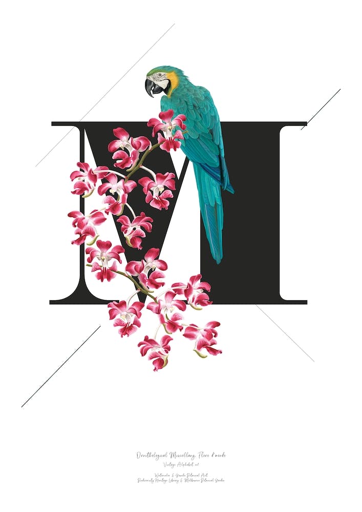 Botanical Alphabet M