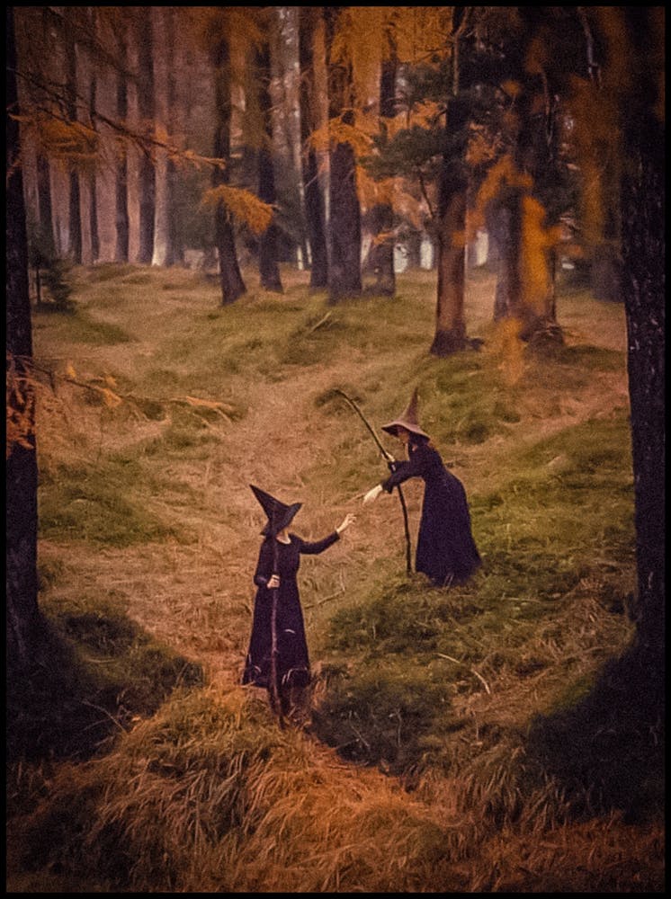 Autumn Witches - Witchy Pagan Meeting in the Woods - Fall Witchcraft Gloomy Dark Aesthetic Occult Witch Hat and Broomsticks Digital Photography Vintage