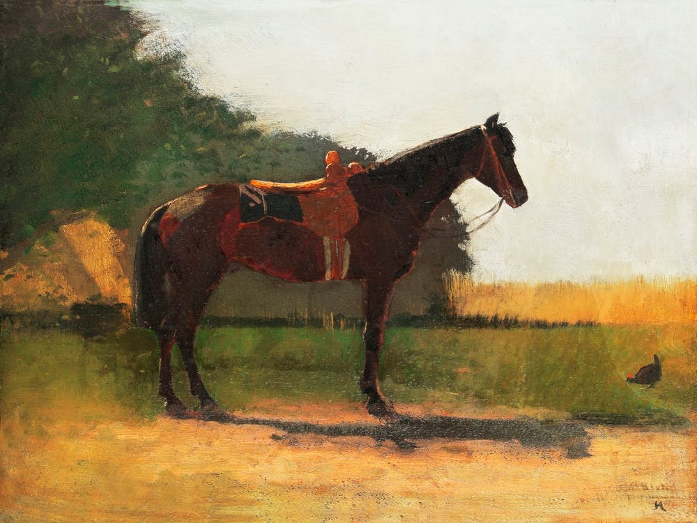 Saddle Horse in Farm Yard (ca. 1870–1875), Winslow Homer