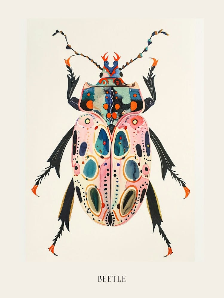 Colourful Insect Illustration Beetle 21 Poster