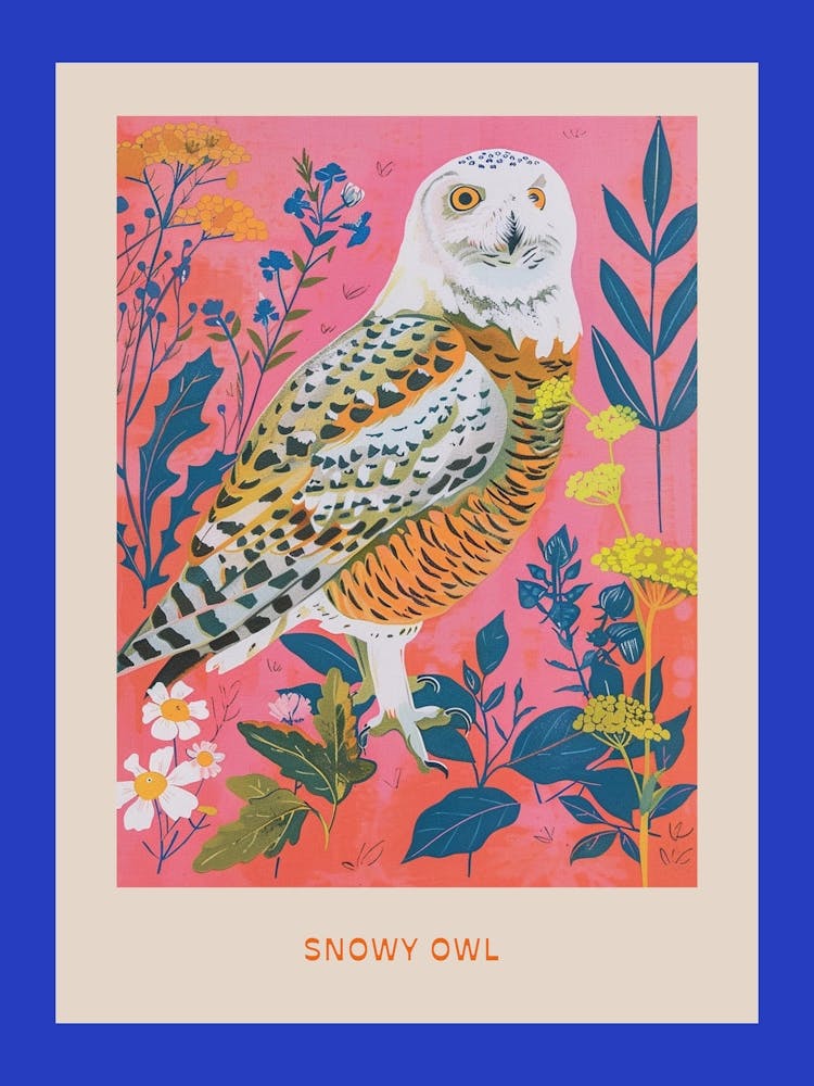 Spring Birds Poster Snowy Owl 1