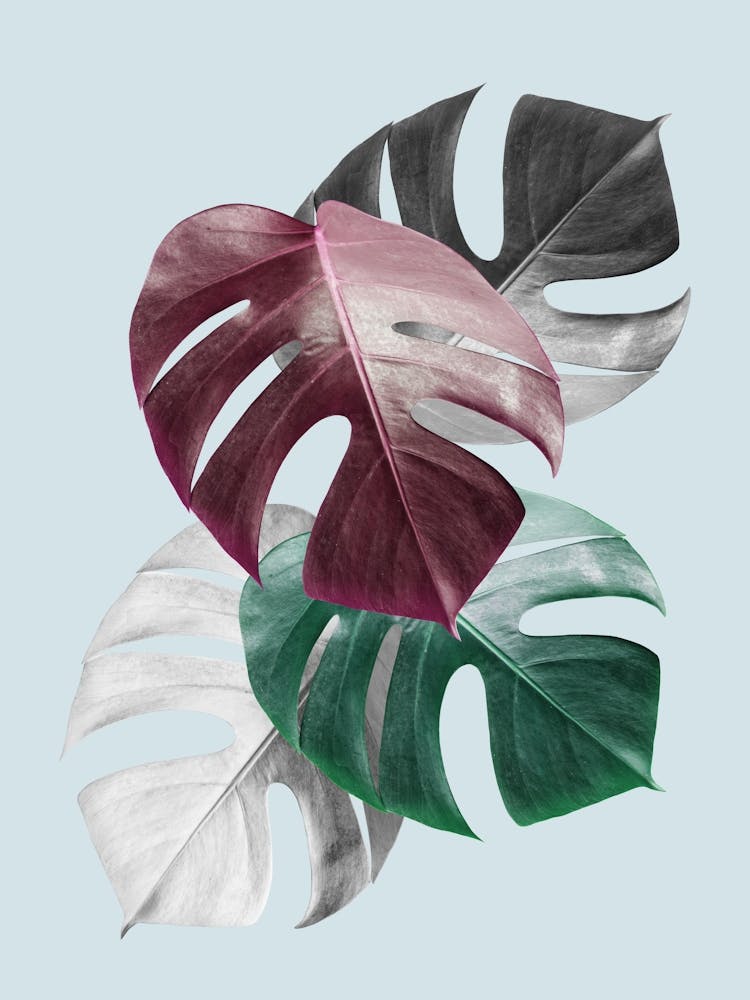 Floral collage art 1