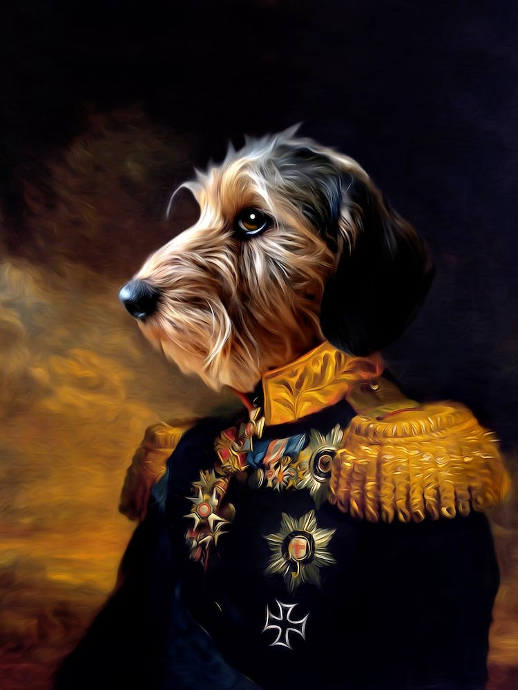 Rough Janco The Dog Pet Portraits