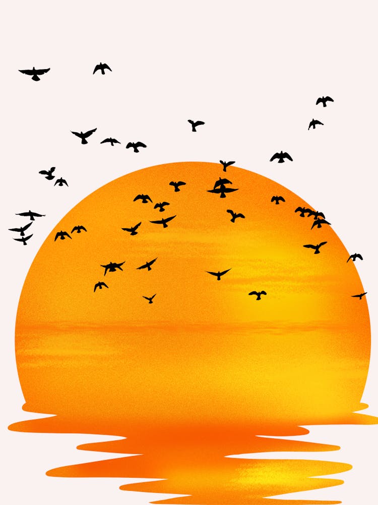 Sunset With Birds 1