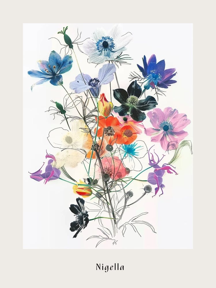 Nigella 4 Collage Flower Bouquet Poster