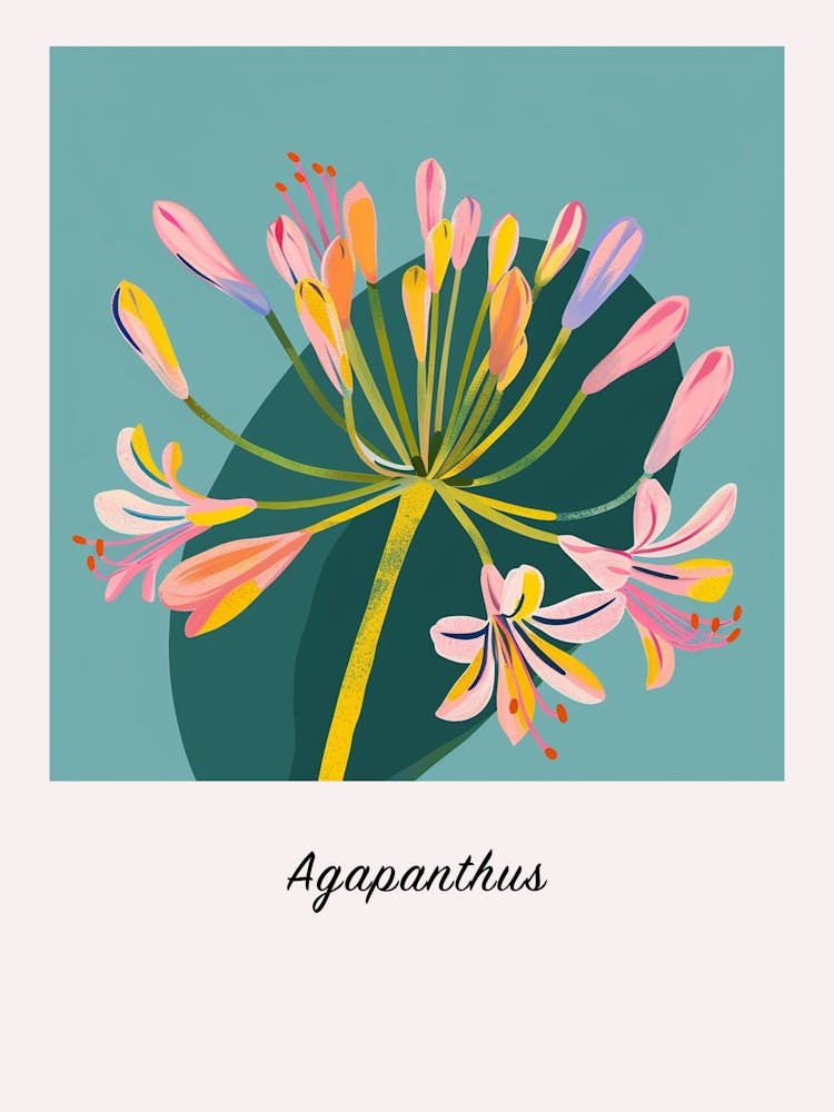 Agapanthus 1 Square Flower Illustration Poster