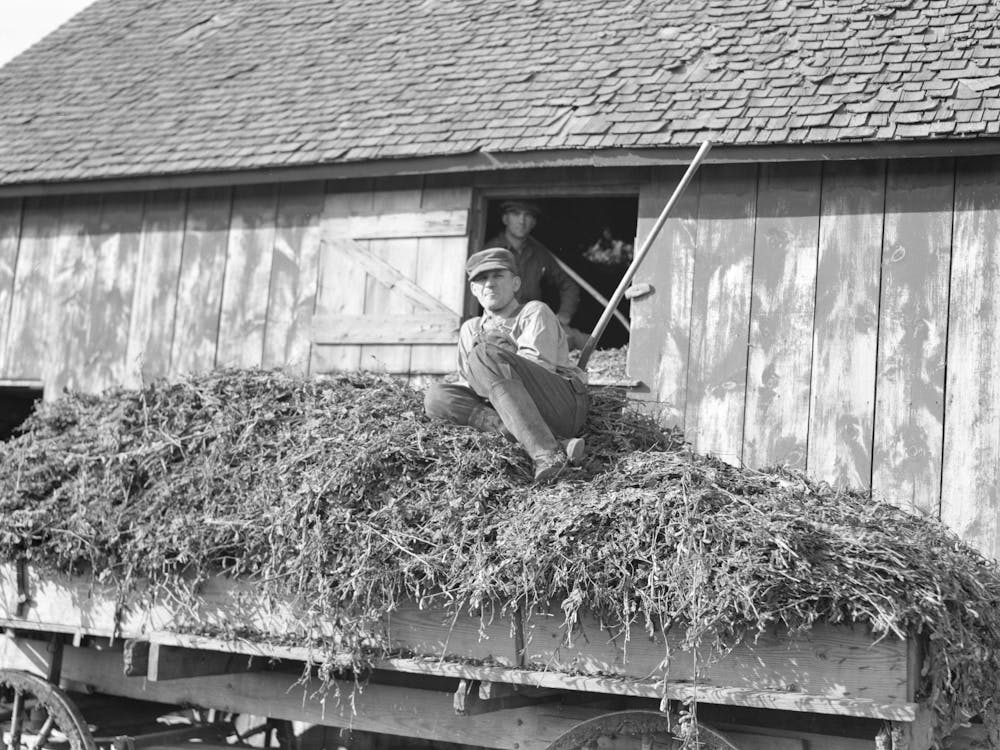 August Feck et une charge de foin de soja, la ferme de trois cent vingt acres de Feck près de Templeton, Indiana, est la propriété de