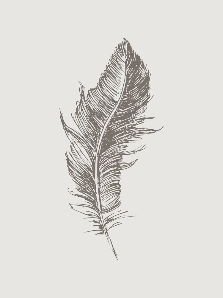 Grey Feather Print 2
