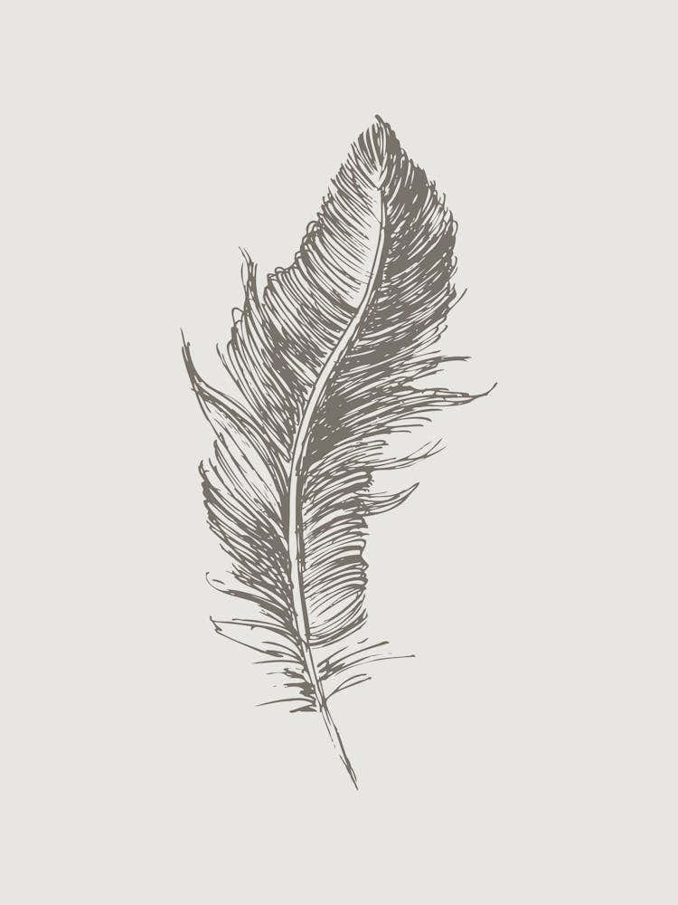 Grey Feather Print 2