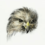 Image From Rawpixel Id 481305, Jean Bernard