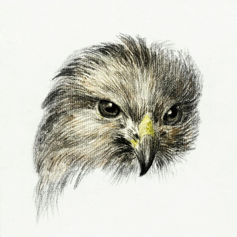 Image From Rawpixel Id 481305, Jean Bernard