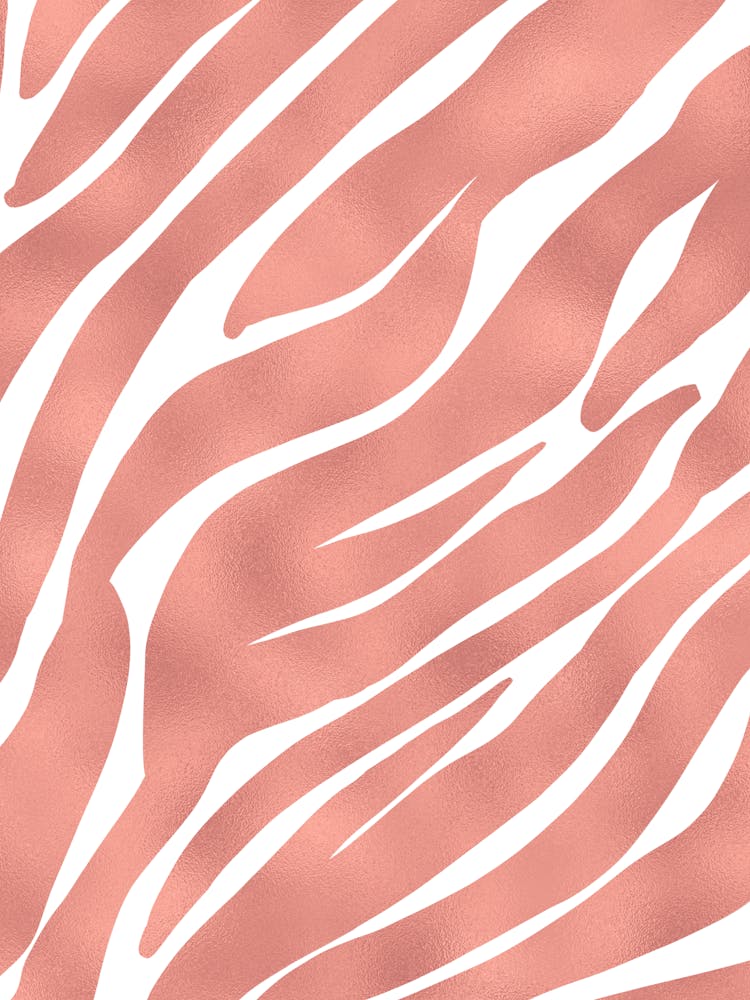 Zebra Print 6