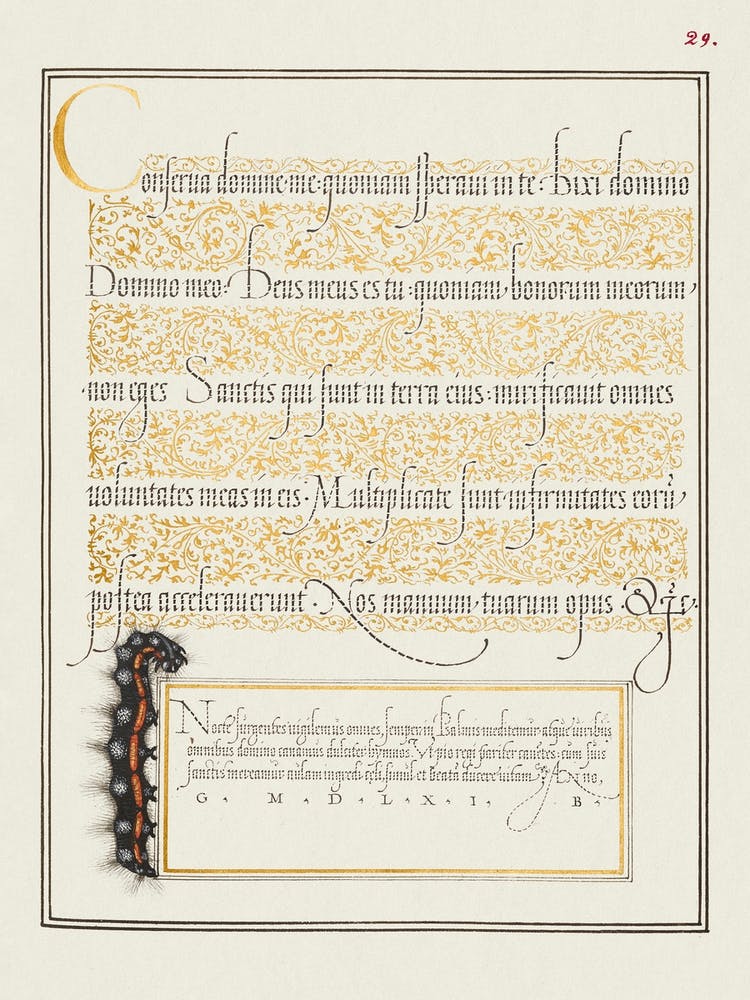 Dagger From Mira Calligraphiae Monumenta, Joris Hoefnagel
