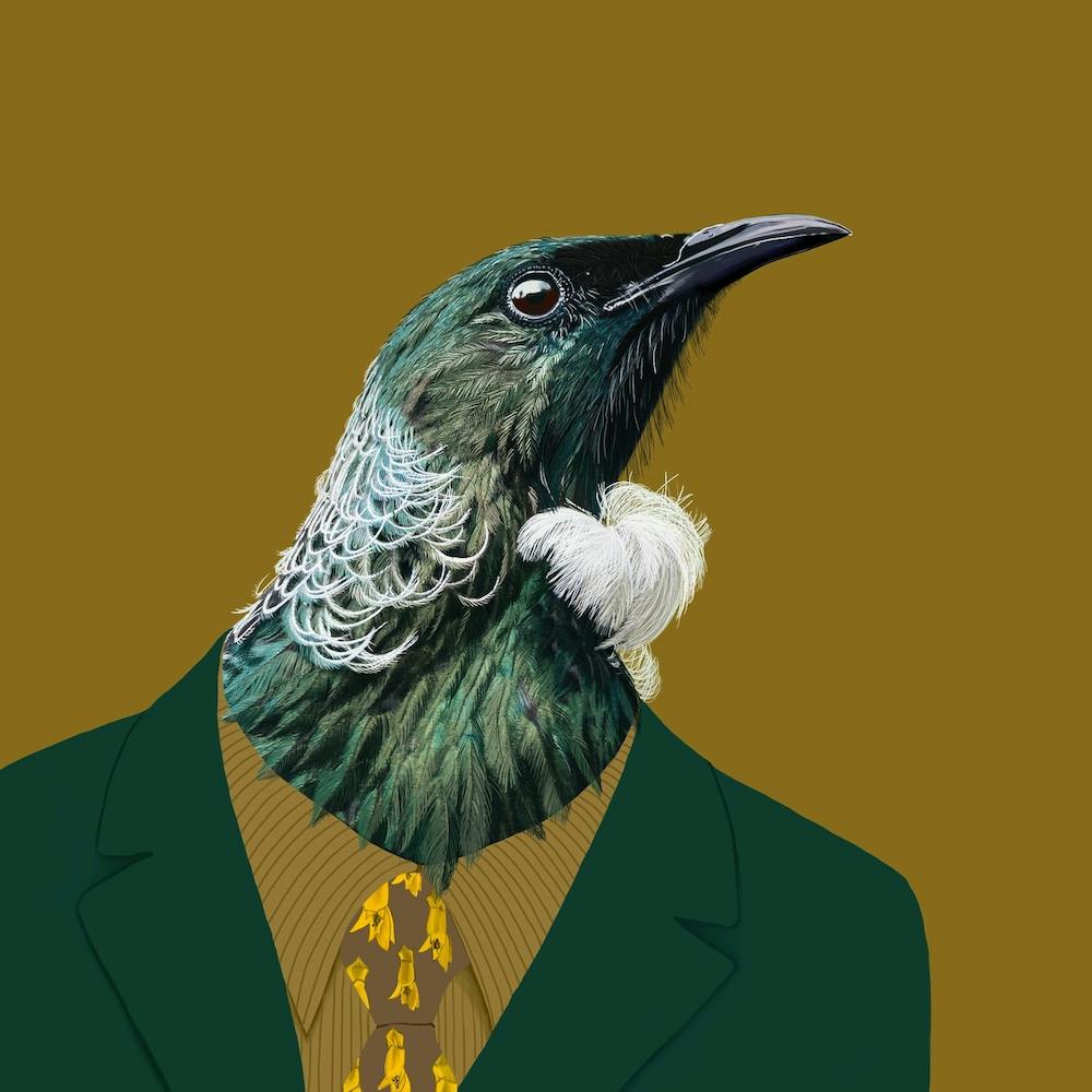 Tui In Suit Square