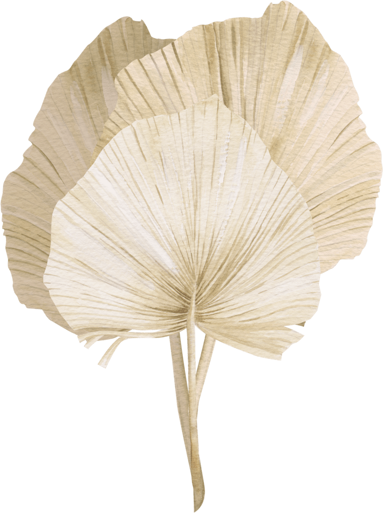 Ginkgo Leaf