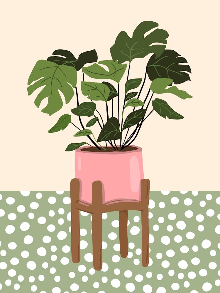 Green Polkadot Houseplant