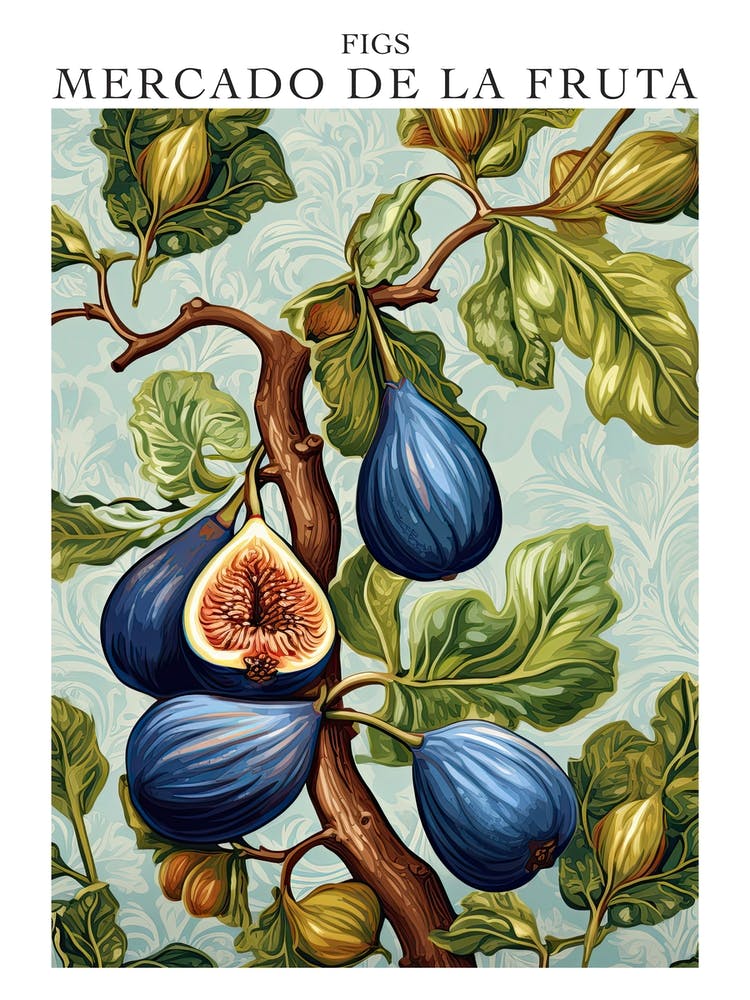 Mercado De La Fruta Figs Illustration 3 Poster