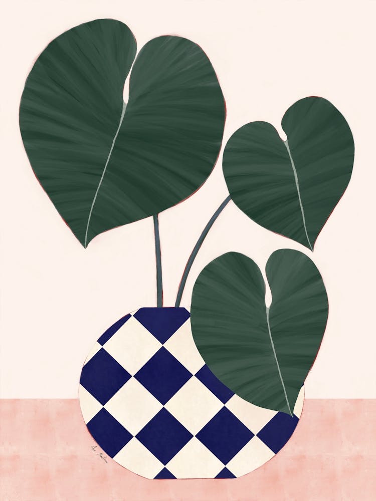 Blue And White Checkered
