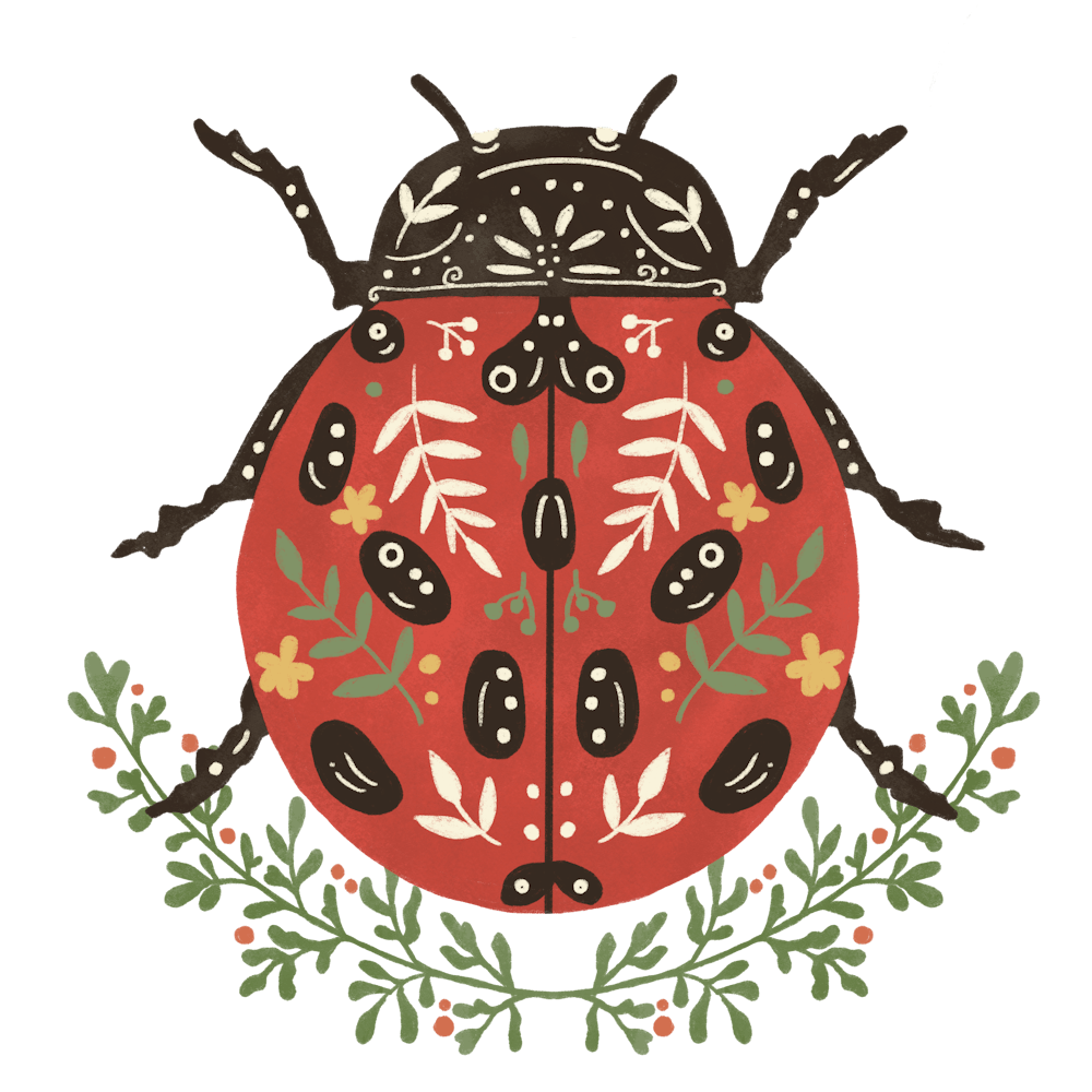 Ladybug 1