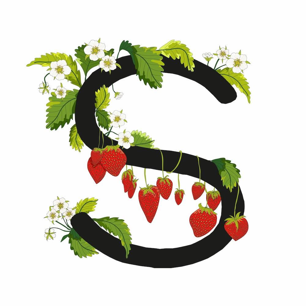 Strawberry Alphabet Letter S Square