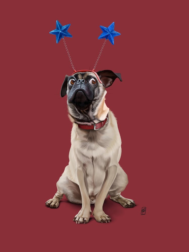 A Pug's Life (Colour)