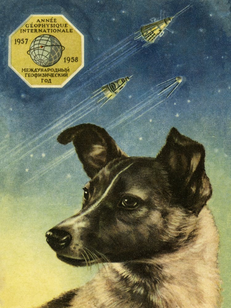 Laika, erster Weltraumhund — Sowjetisches Weltraum-Poster 1