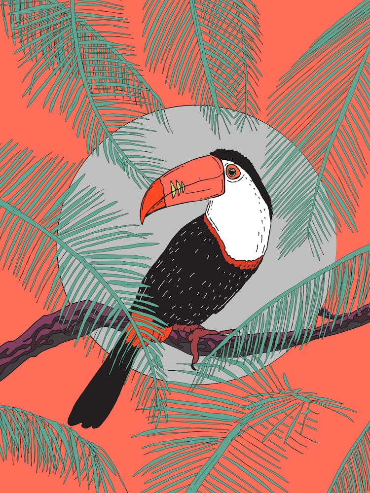 Toucan In The Jungle