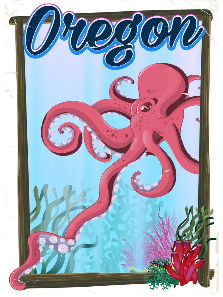 Oregon-Oktopus
