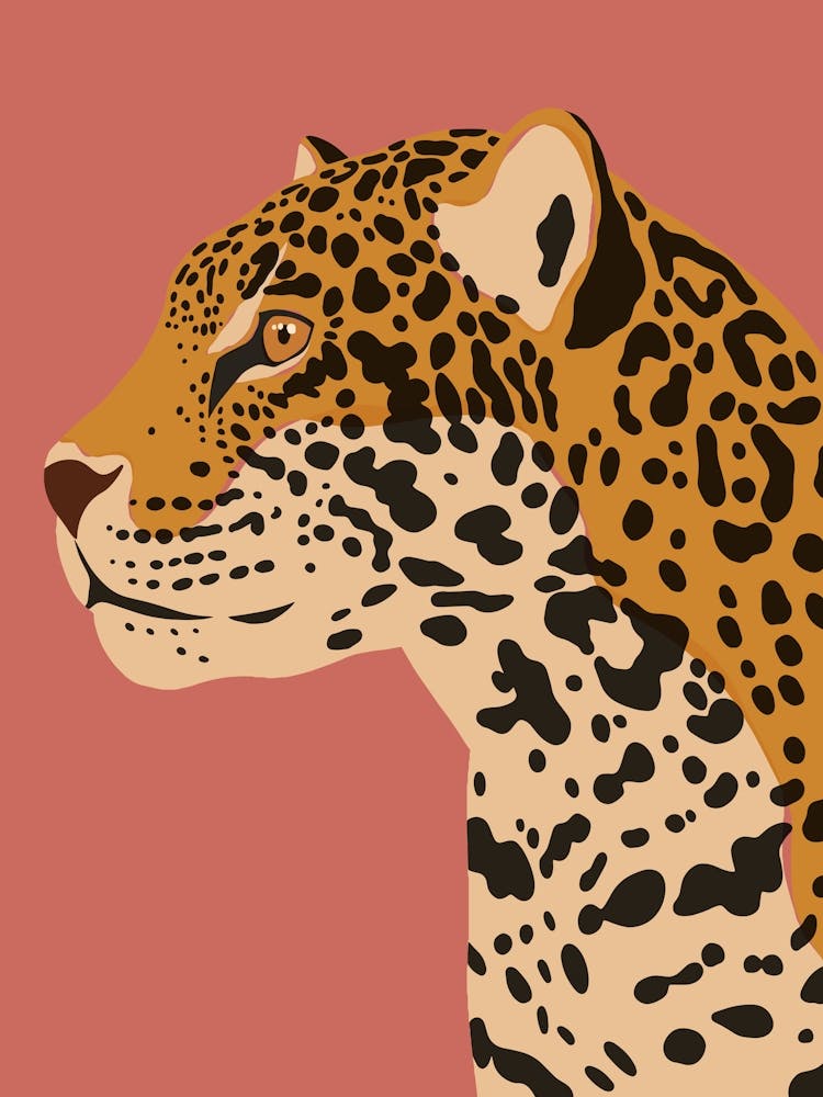 Jungle Safari Jaguar on Rose